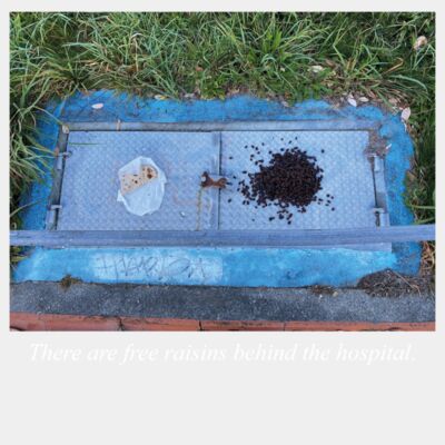 freeraisins Thumbnail