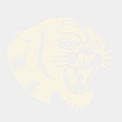 DD75CE39 FF78 47C8 A057 68159A193D0F Thumbnail